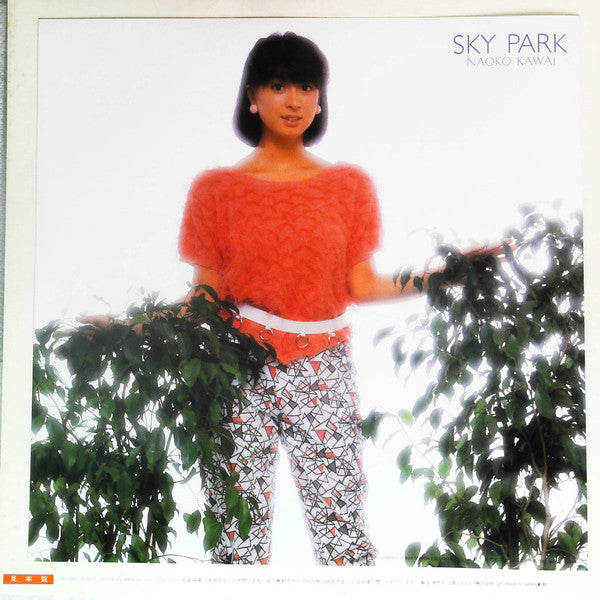 Sky Park = スカイ・パーク