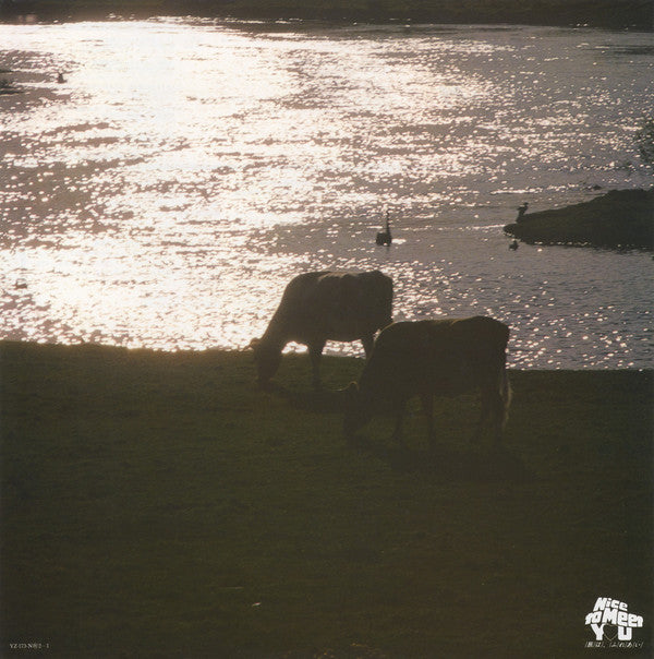 The Southern Cross For You From New Zealand