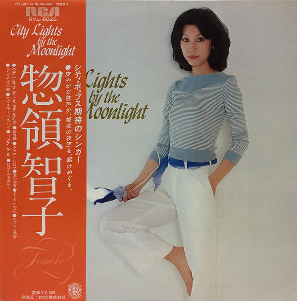 City Lights By The Moonlight