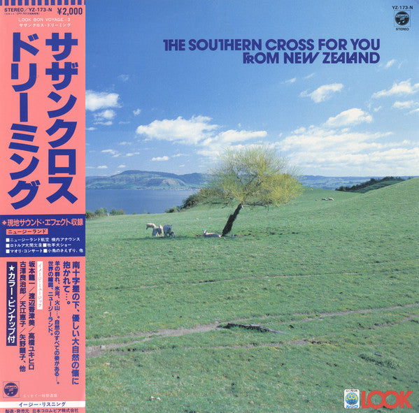 The Southern Cross For You From New Zealand