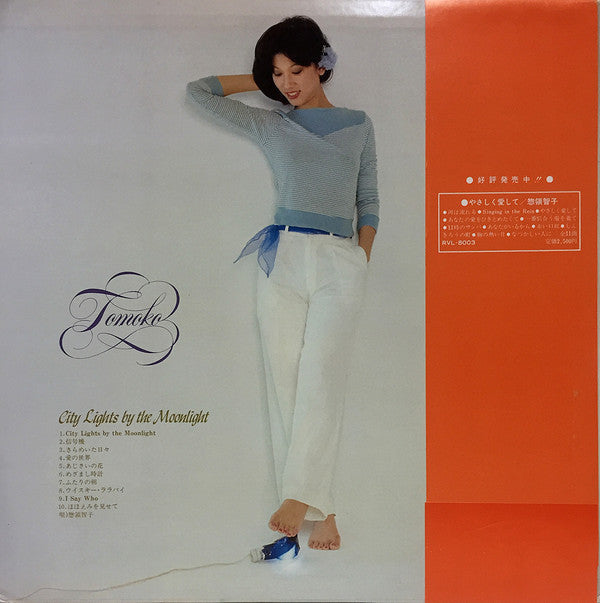 City Lights By The Moonlight