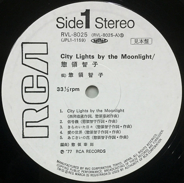 City Lights By The Moonlight