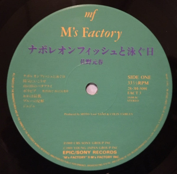 ナポレオンフィッシュと泳ぐ日