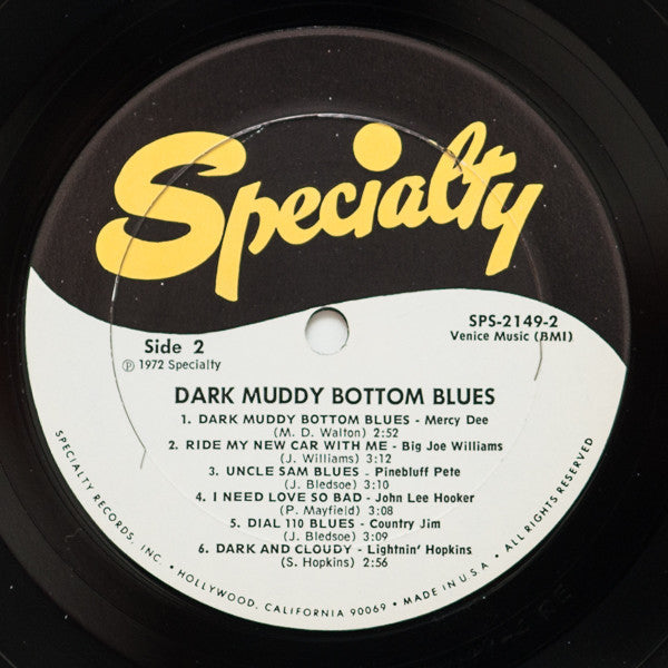 Dark Muddy Bottom Blues