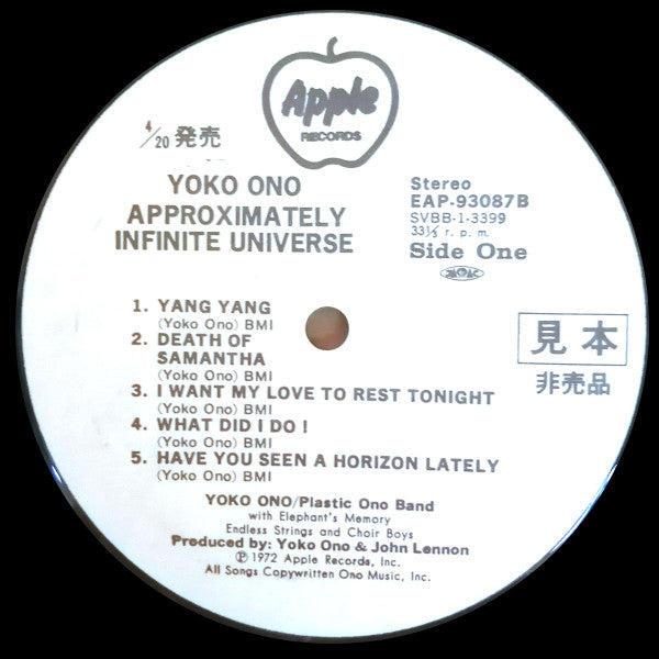 Approximately Infinite Universe