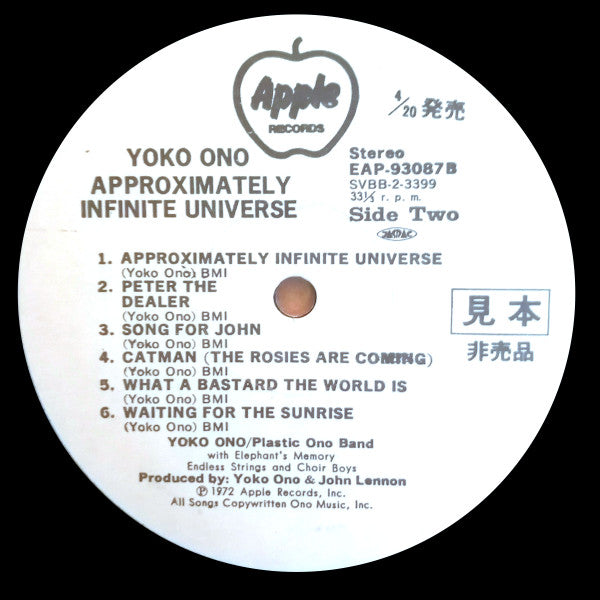 Approximately Infinite Universe