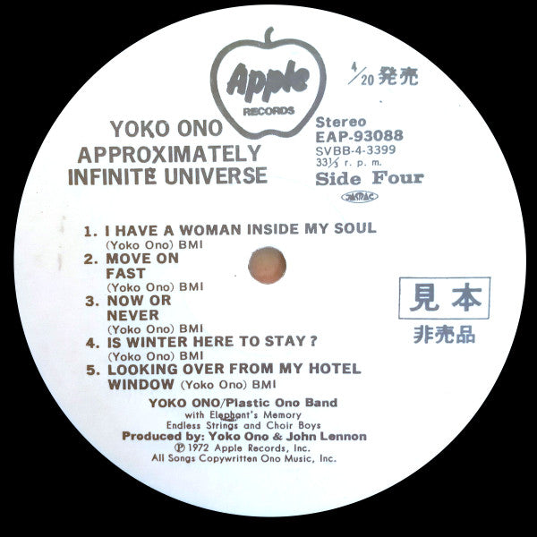 Approximately Infinite Universe