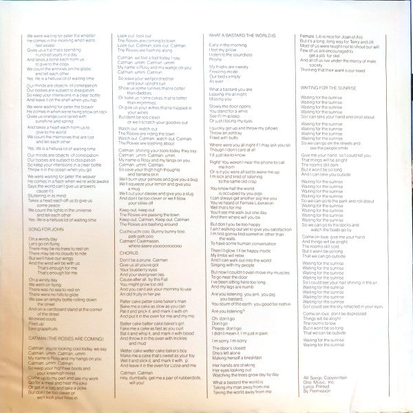 Approximately Infinite Universe