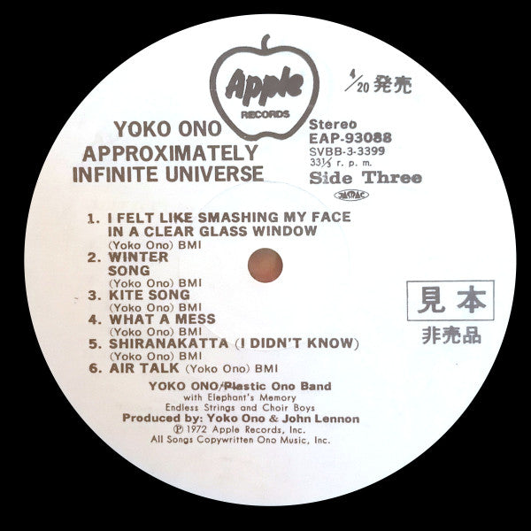 Approximately Infinite Universe