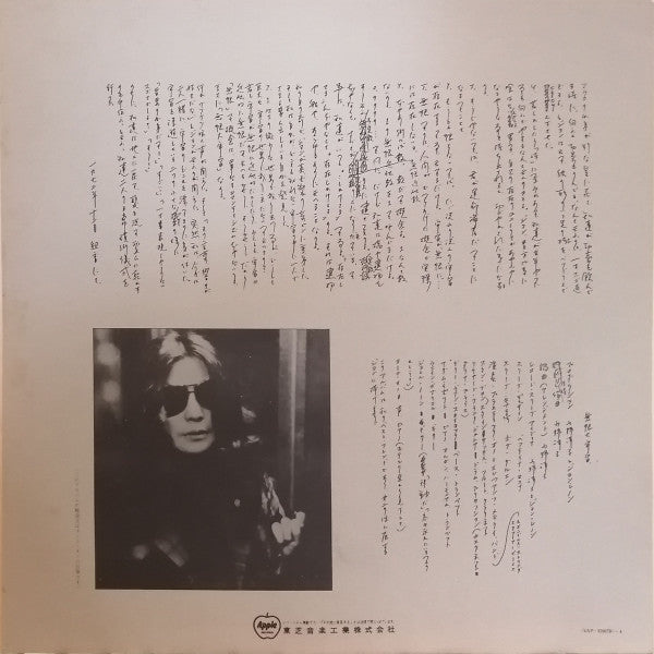 Approximately Infinite Universe