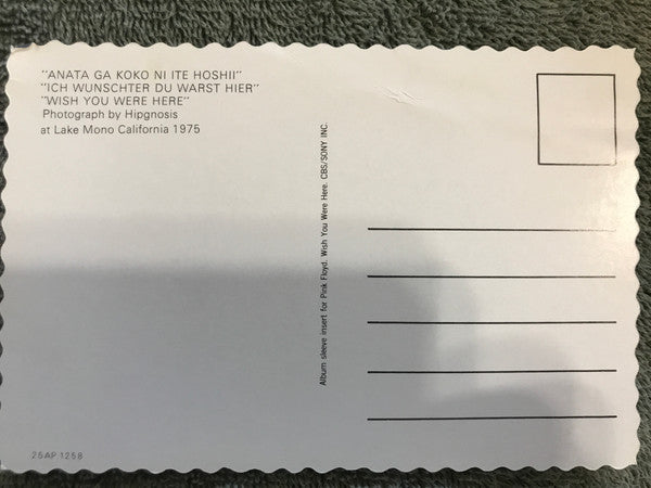 Wish You Were Here = 炎 (あなたがここにいてほしい)