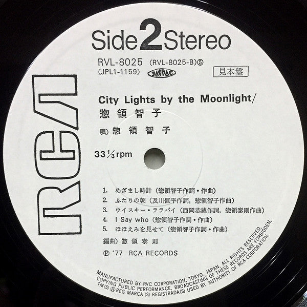 City Lights By The Moonlight