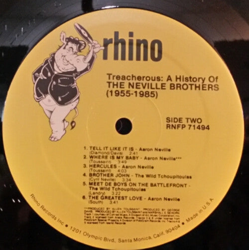 Treacherous: A History Of The Neville Brothers (1955 -1985)