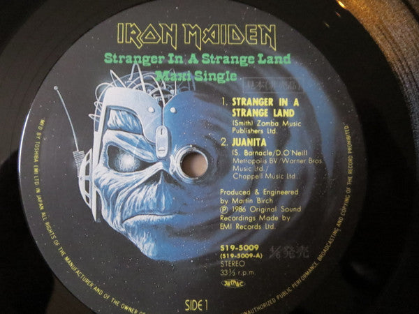 Stranger In A Stranger Land