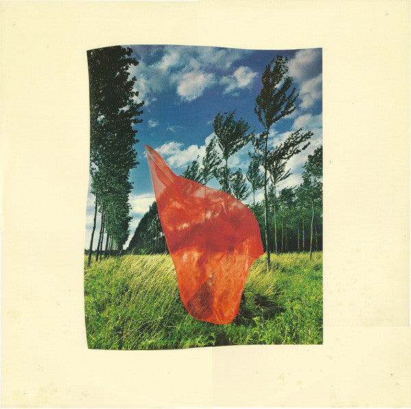 Wish You Were Here = 炎 (あなたがここにいてほしい)