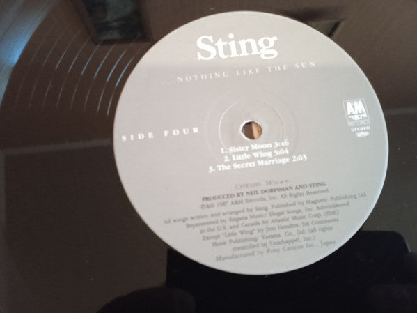 ...Nothing Like The Sun