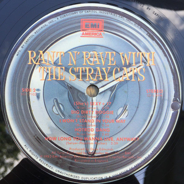 Rant N' Rave With The Stray Cats