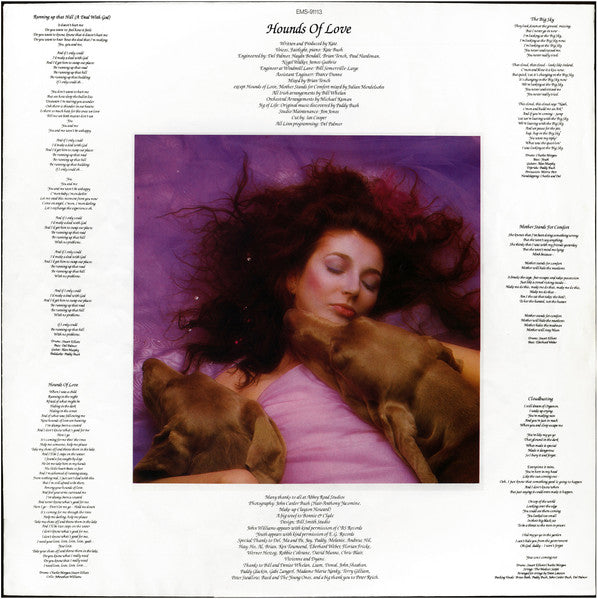 Hounds Of Love