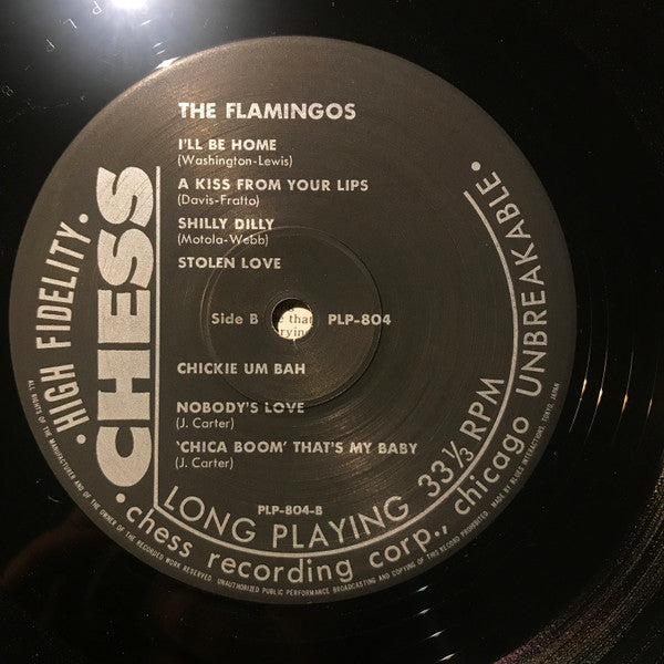 Flamingos