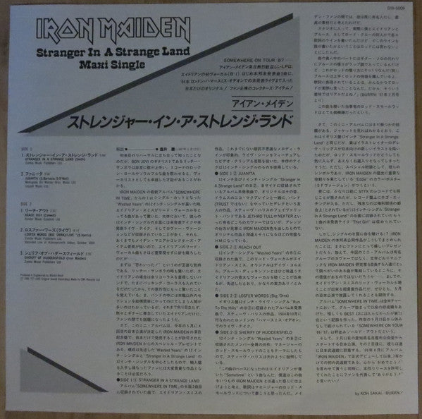 Stranger In A Stranger Land