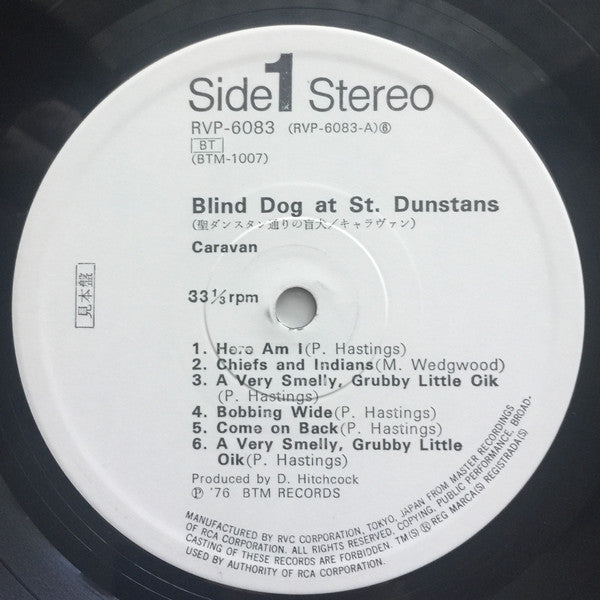 Blind Dog At St. Dunstans