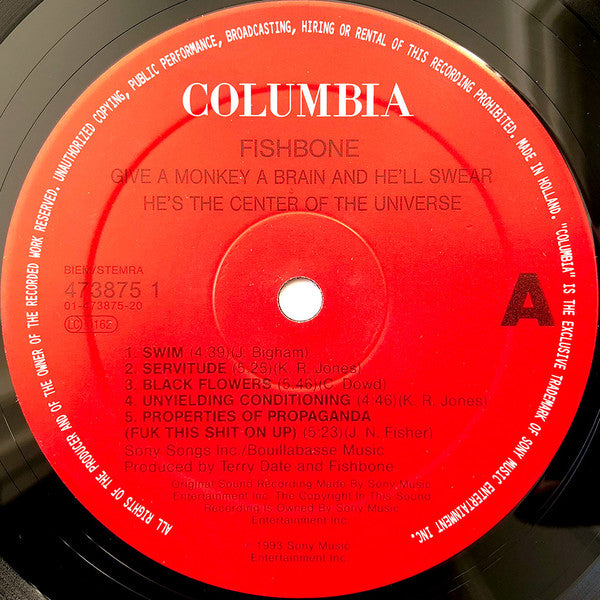 Give A Monkey A Brain...And He'll Swear He's The Center Of The Universe