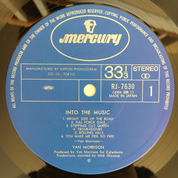 Into The Music