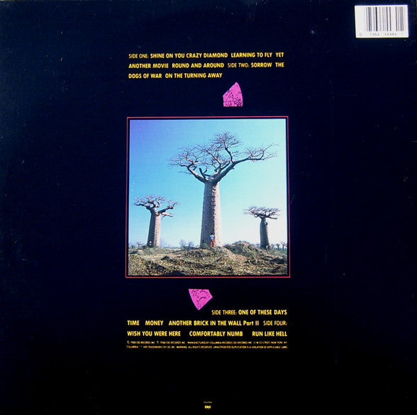 Delicate Sound Of Thunder