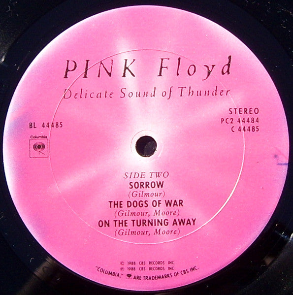 Delicate Sound Of Thunder