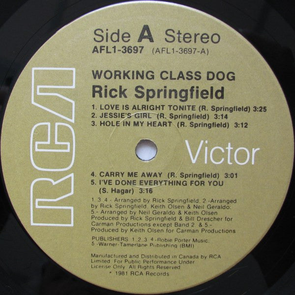 Working Class Dog