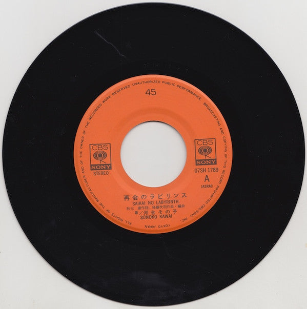 再会のラビリンス = Saikai No Labyrinth