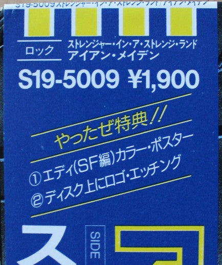 Stranger In A Strange Land