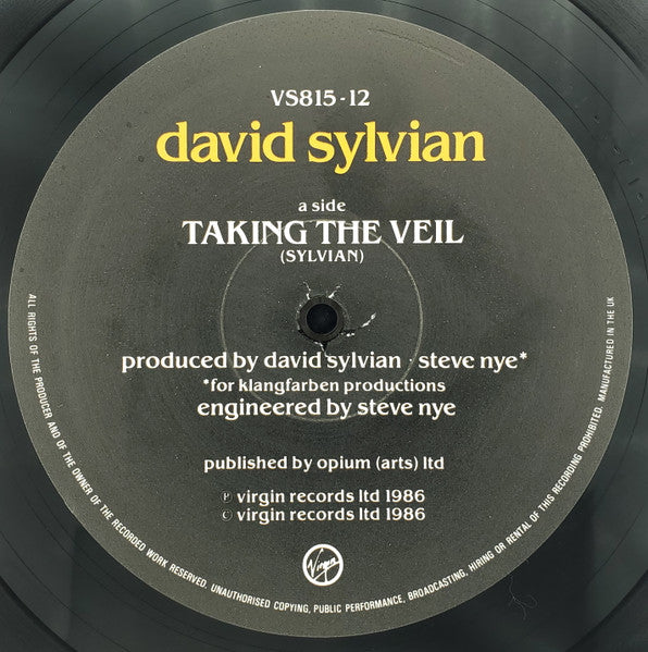 A Little Girl Dreams Of Taking The Veil