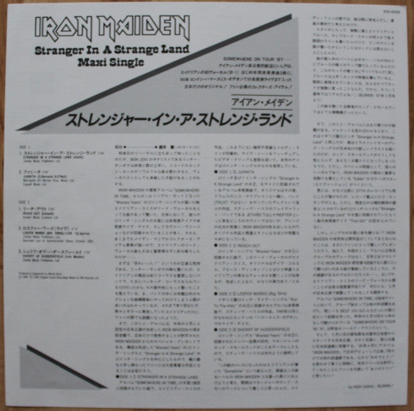 Stranger In A Strange Land