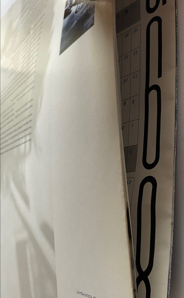 The Dream Of The Blue Turtles