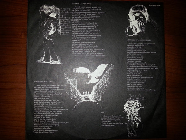 When The Eagle Flies