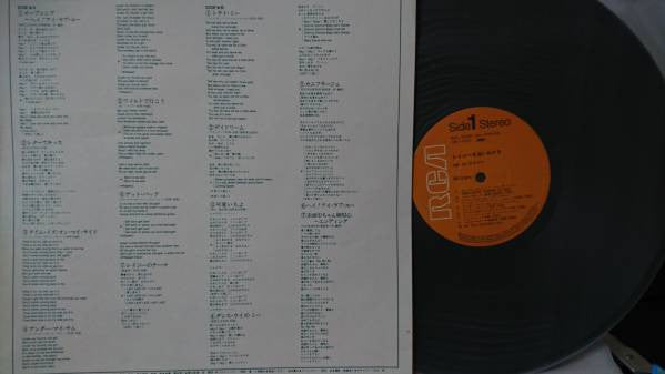 レイジーを追いかけろ