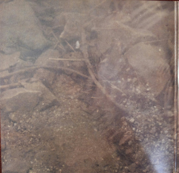 Circles In The Stream