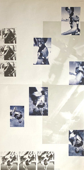 The Dream Of The Blue Turtles