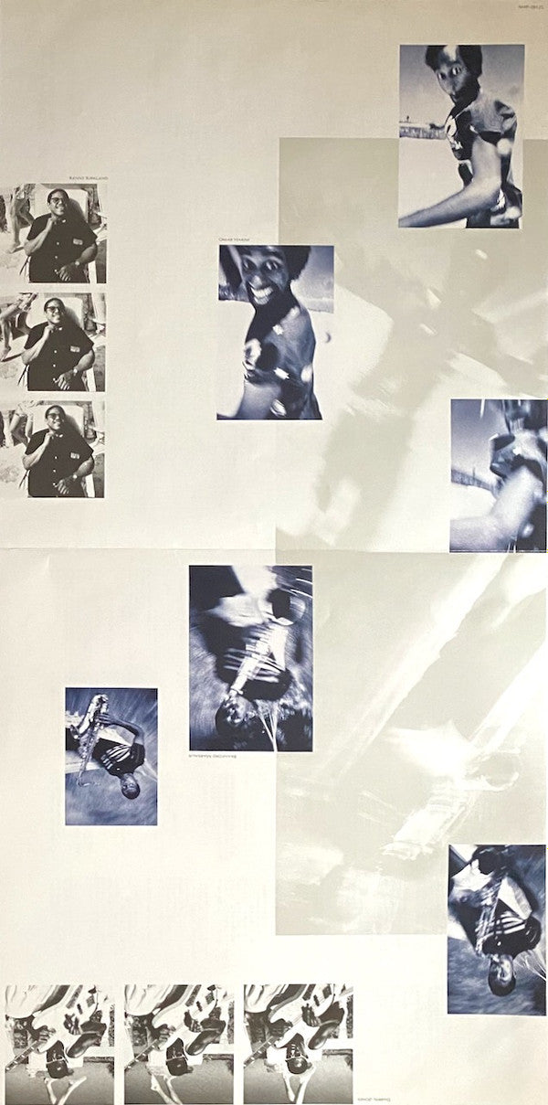 The Dream Of The Blue Turtles