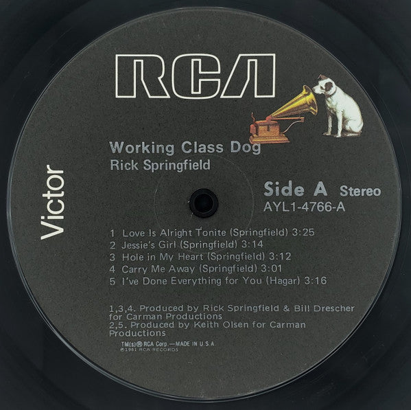 Working Class Dog
