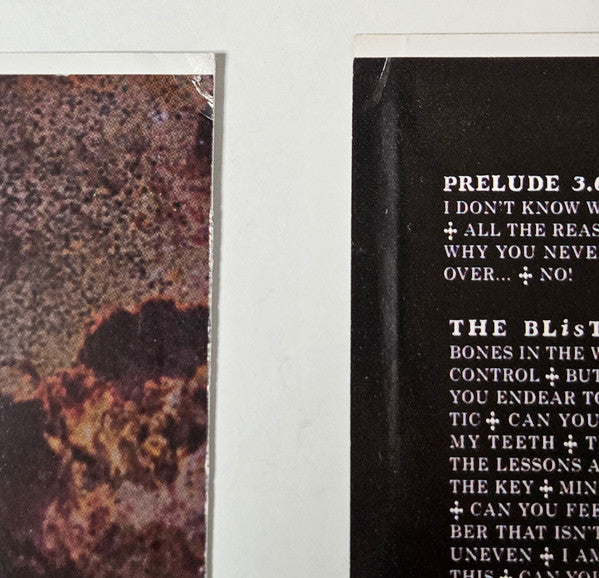 Vol. 3: (The Subliminal Verses)