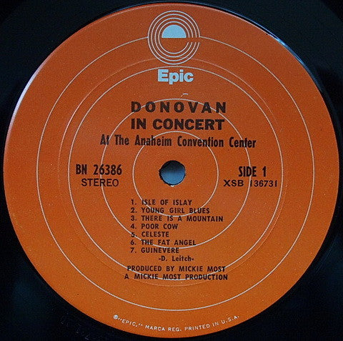 Donovan In Concert