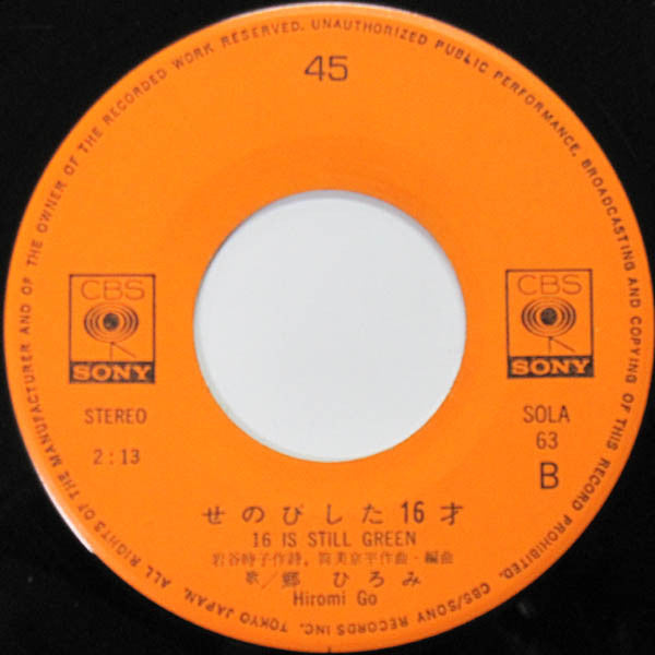 小さな体験 = My First Experience