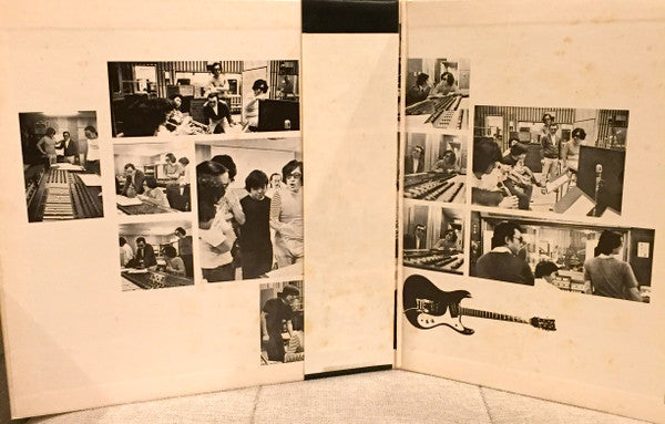 The Brilliant Dimension Of Terry