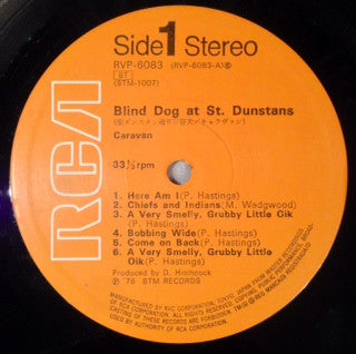 Blind Dog At St. Dunstans