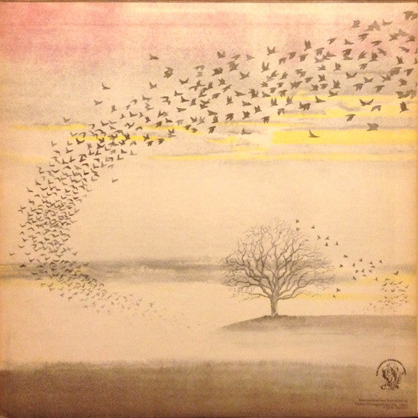 Wind & Wuthering