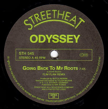 Going Back To My Roots (Flim Flam Remix)