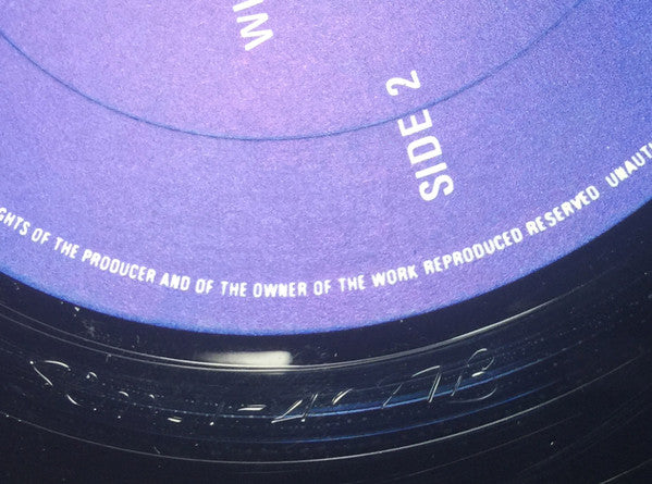 Windows In The Jungle