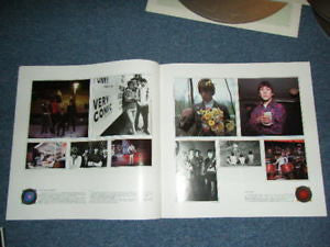 The Kids Are Alright